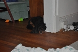 Sampson 104